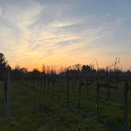 Il Ceraseto Da Tomasi B&B 4*