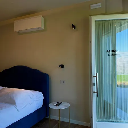 Il Ceraseto Da Tomasi Bed and breakfast San Biagio di Callalta